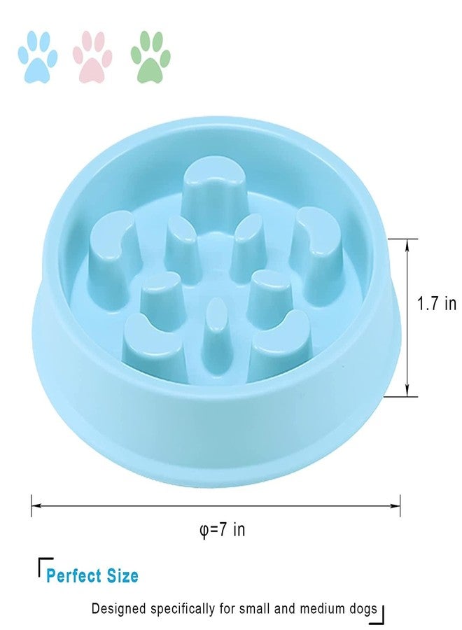 WISHBONE Slow Feeder Anti-Skid Bowl for Dogs & Cats (Blue) - Image 2